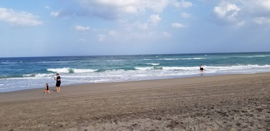 Sea Turtle Beach Concessions | restaurant | 4191 NE Ocean Blvd, Jensen Beach, FL 34957, USA | 7722250703 OR +1 772-225-0703