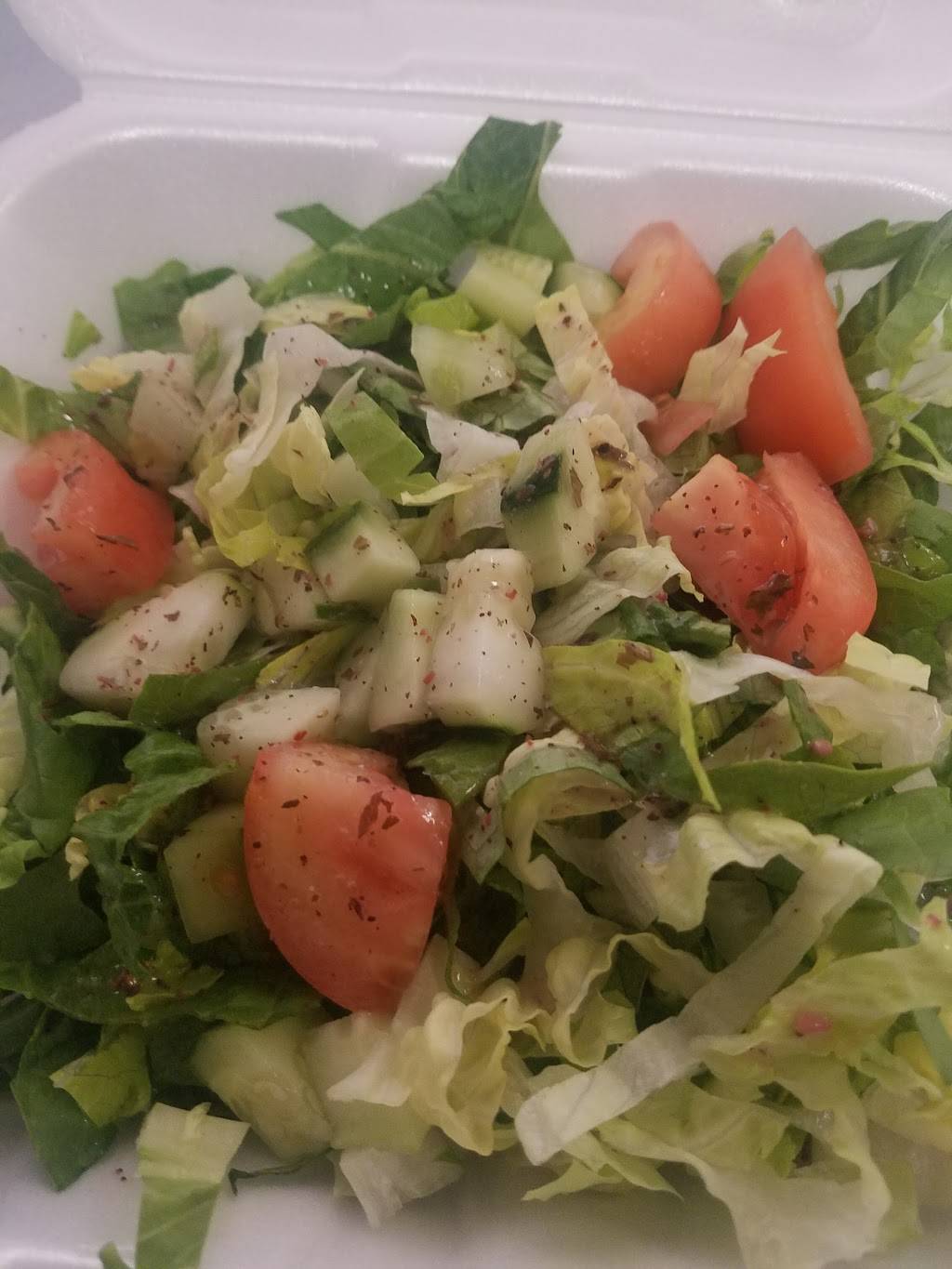 Al Kabob | restaurant | 38013 Mound Rd, Sterling Heights, MI 48310, USA | 5869391010 OR +1 586-939-1010