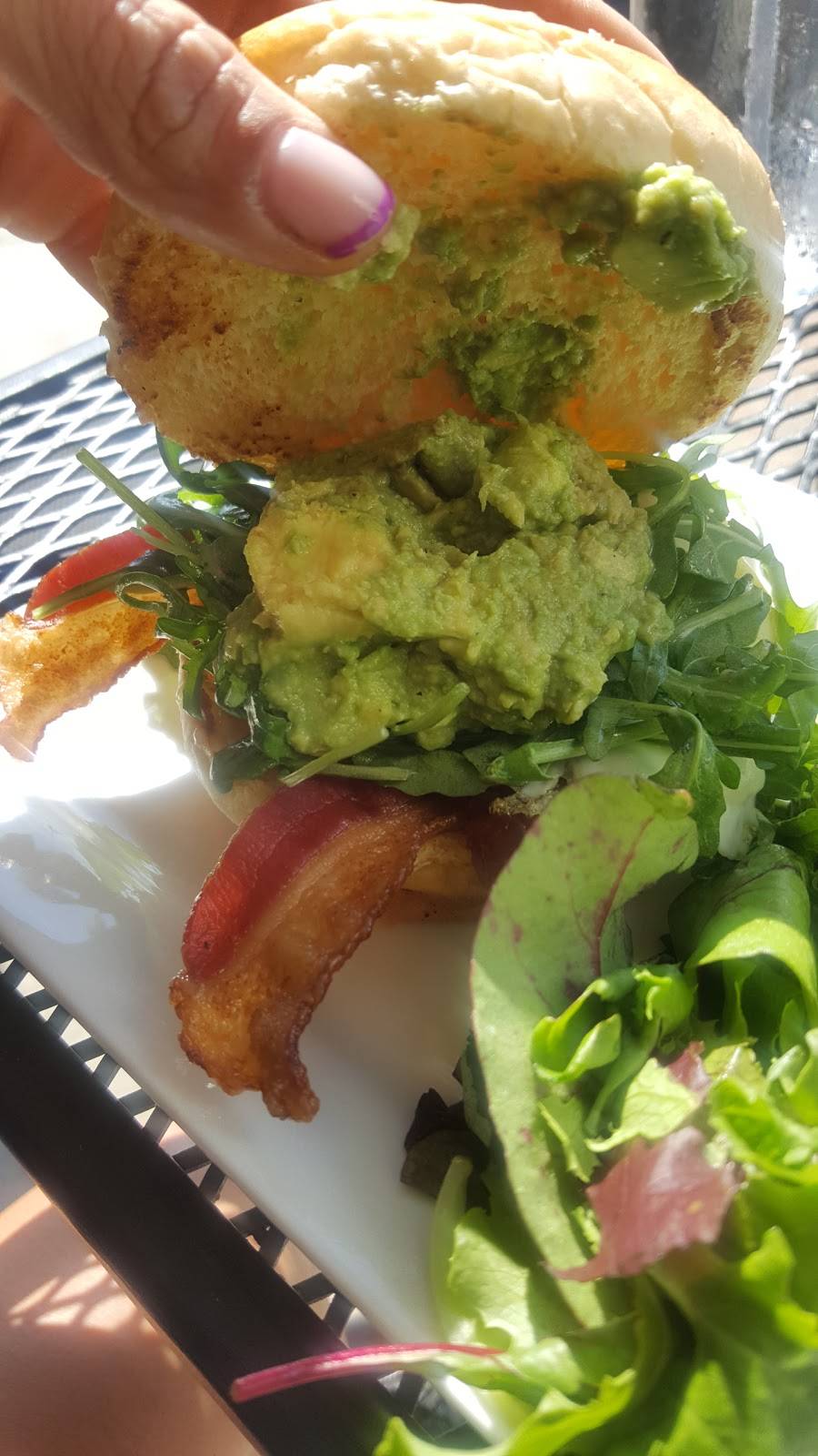 First Watch - Timonium Square | restaurant | 2159 D York Road, Timonium, MD 21093, USA | 4103083447 OR +1 410-308-3447