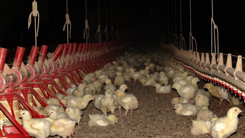 KFC | restaurant | 12 N Washington Ave, Titusville, FL 32796, USA | 3212670528 OR +1 321-267-0528