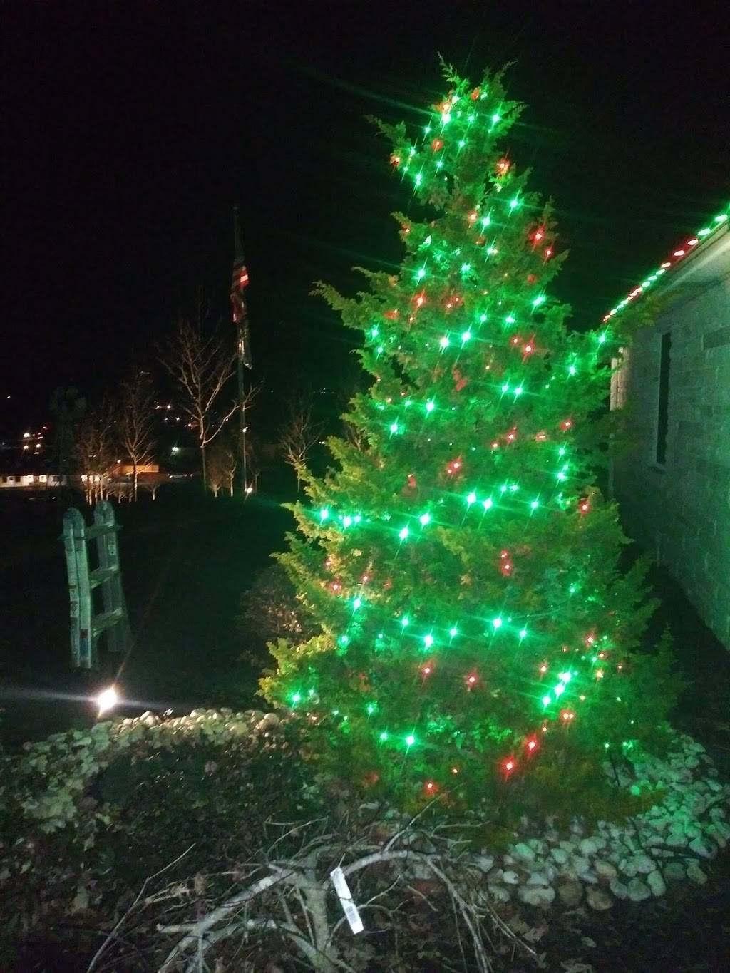 China Top | restaurant | 93 Sugarloaf Ave, Conyngham, PA 18219, USA | 5707885699 OR +1 570-788-5699