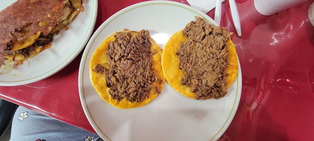 BIRRIERIA FACTORY | restaurant | 12081 Garden Grove Blvd, Garden Grove, CA 92843, USA | 7144626433 OR +1 714-462-6433