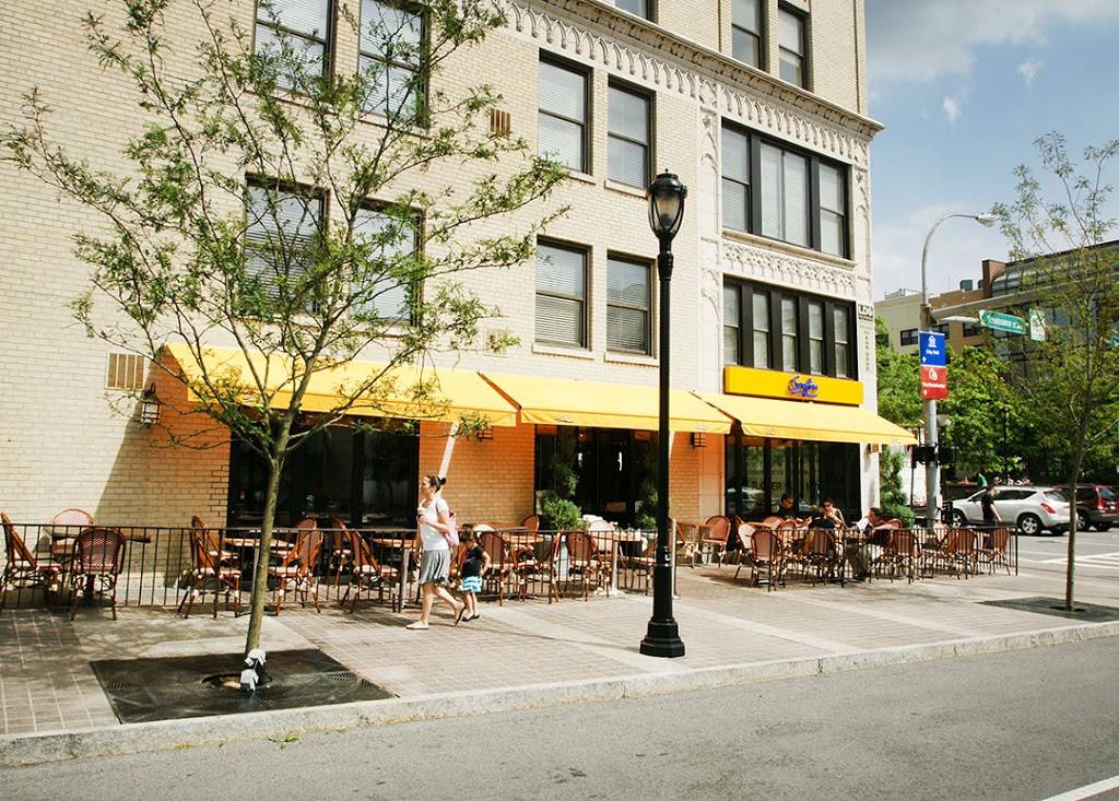 Serafina | restaurant | 199 Main St, White Plains, NY 10601, USA | 9142889300 OR +1 914-288-9300