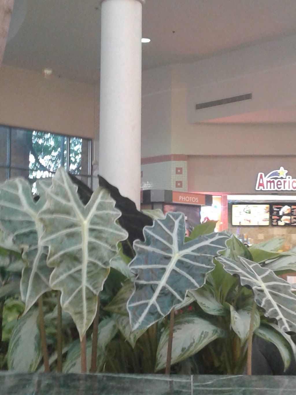 American Deli | restaurant | 14045 Abercorn St Ste 2526, Savannah, GA 31419, USA | 9129218818 OR +1 912-921-8818