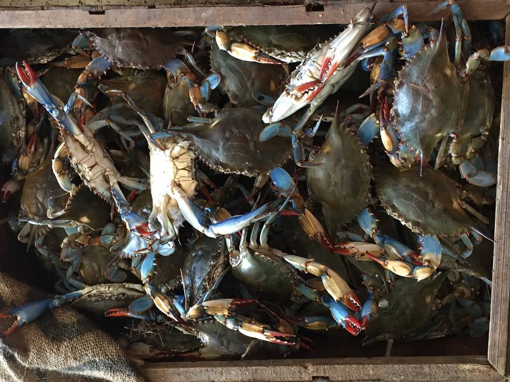 Cypress Point Store ???? | restaurant | 904 St Johns Ave, Palatka, FL 32177, USA | 3863263842 OR +1 386-326-3842