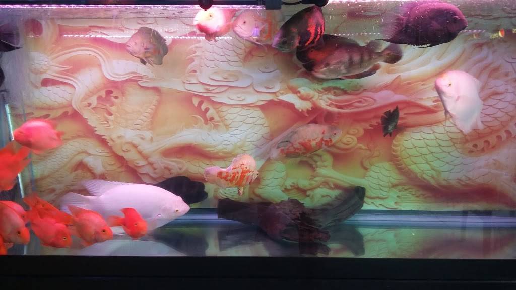 New Style | restaurant | 136 Akron Rd, Wadsworth, OH 44281, USA | 3303349900 OR +1 330-334-9900