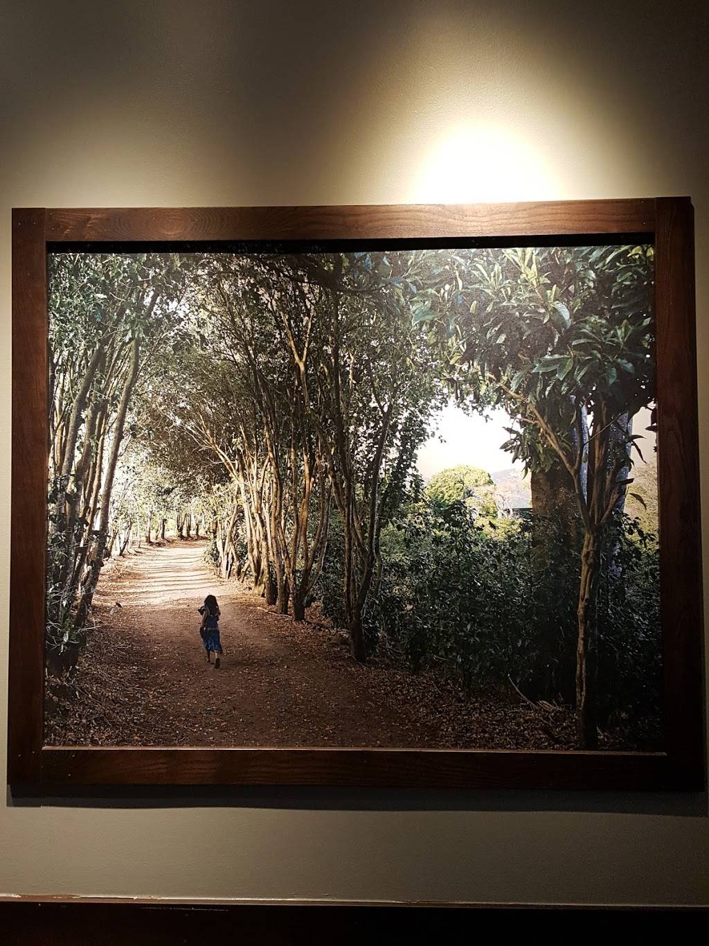 Starbucks | cafe | 1931 Cherry Ln #7, Northbrook, IL 60062, USA | 8474984508 OR +1 847-498-4508