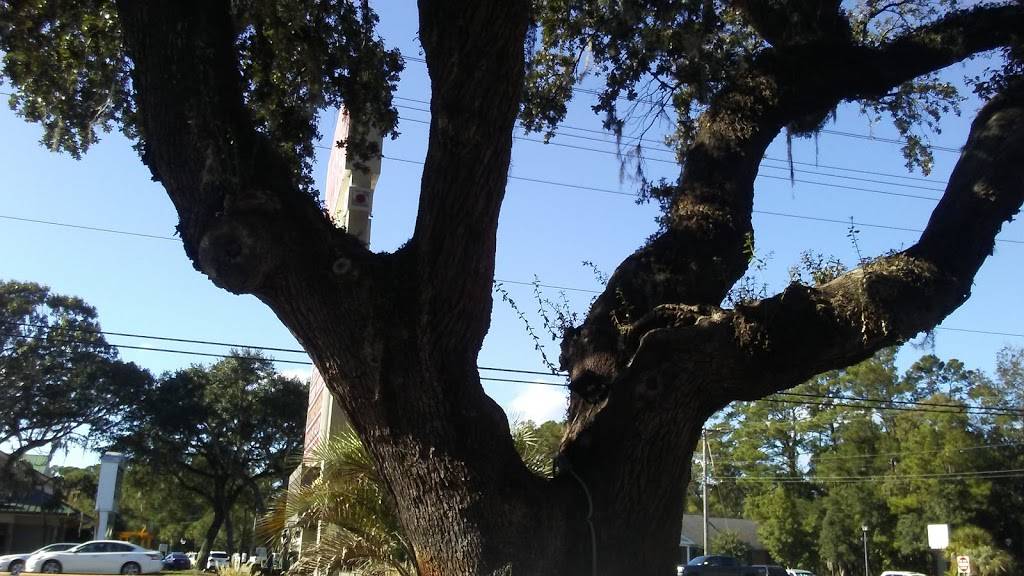 Village Deli & Creamery | restaurant | 10744 Ocean Hwy, Pawleys Island, SC 29585, USA | 8432350333 OR +1 843-235-0333