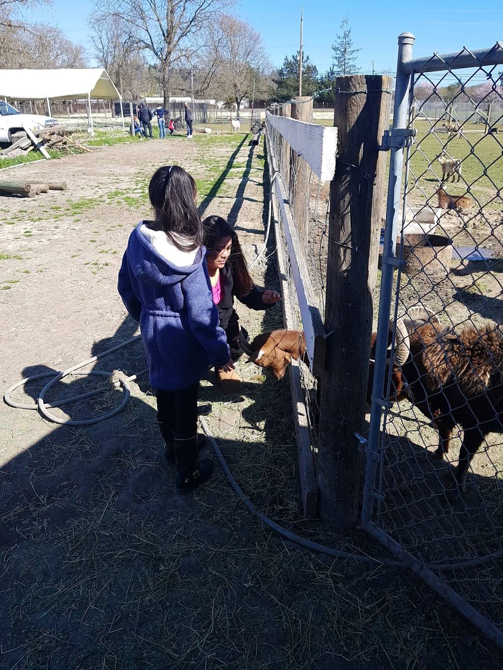 Rancho Medrano | restaurant | 12195 Old Redwood Hwy, Healdsburg, CA 95448, USA | 7078365414 OR +1 707-836-5414