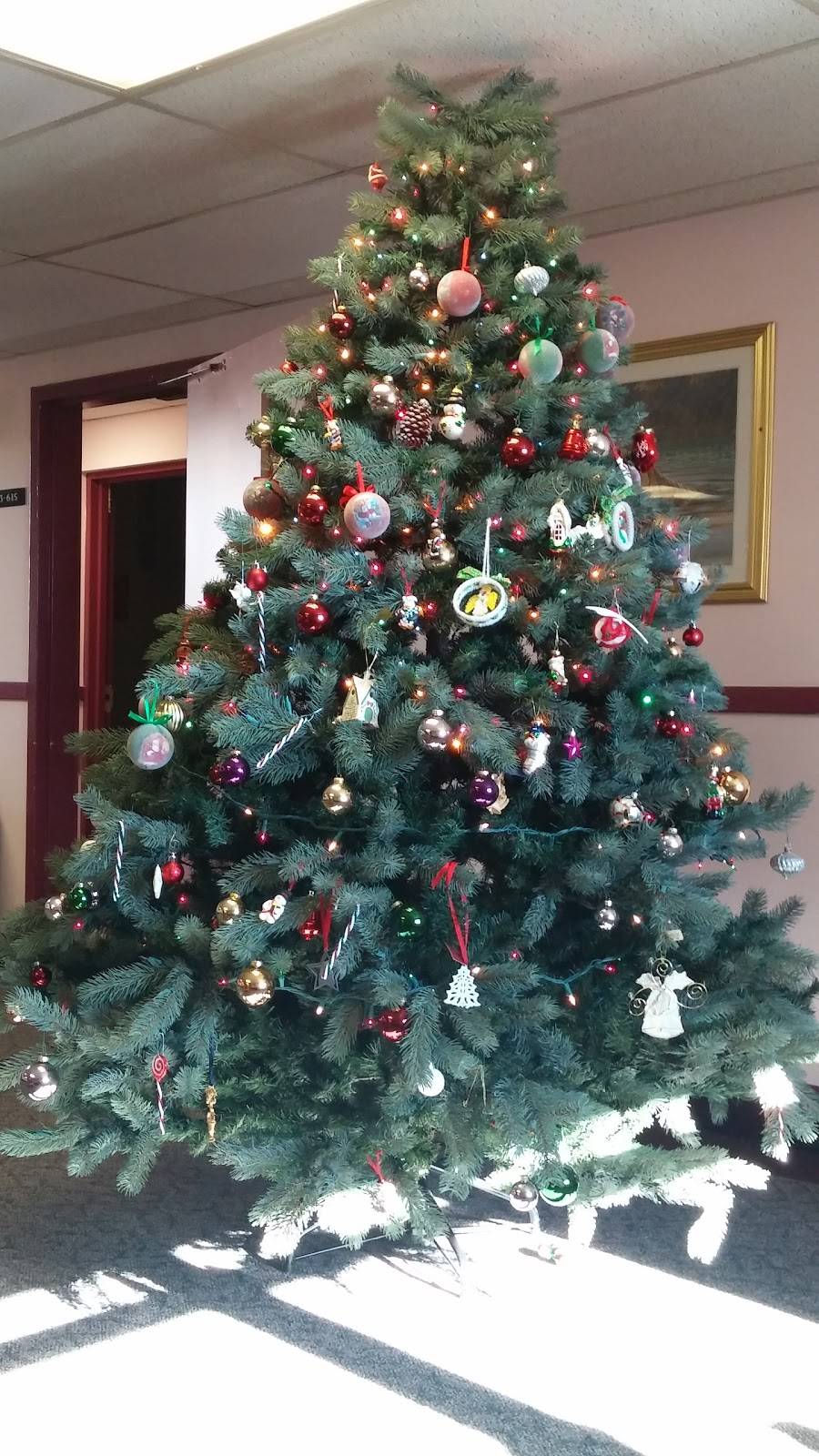 Angelinas Braintree | restaurant | 419 Elm St, Braintree, MA 02184, USA | 7818437827 OR +1 781-843-7827