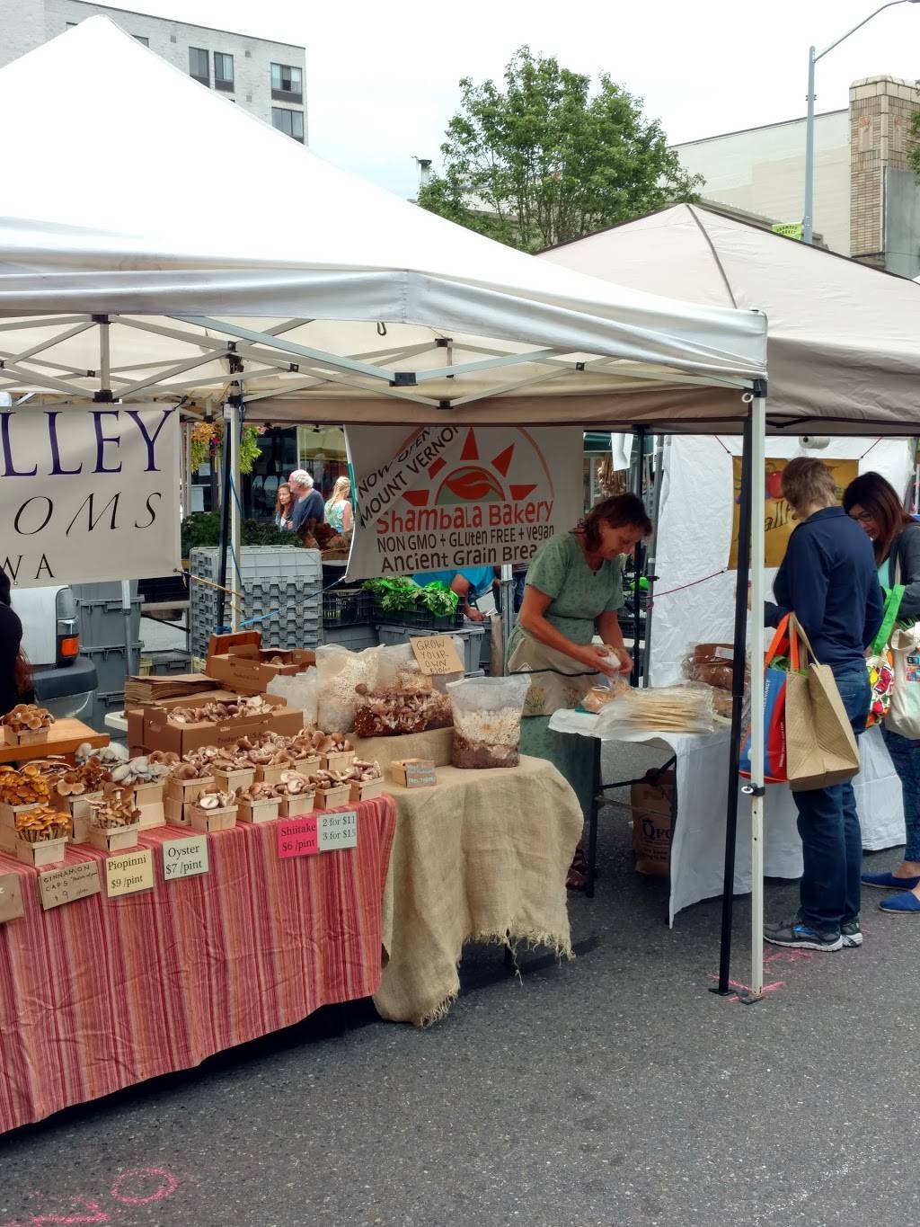 West 5 | restaurant | 4539 California Ave SW, Seattle, WA 98116, USA | 2069351966 OR +1 206-935-1966