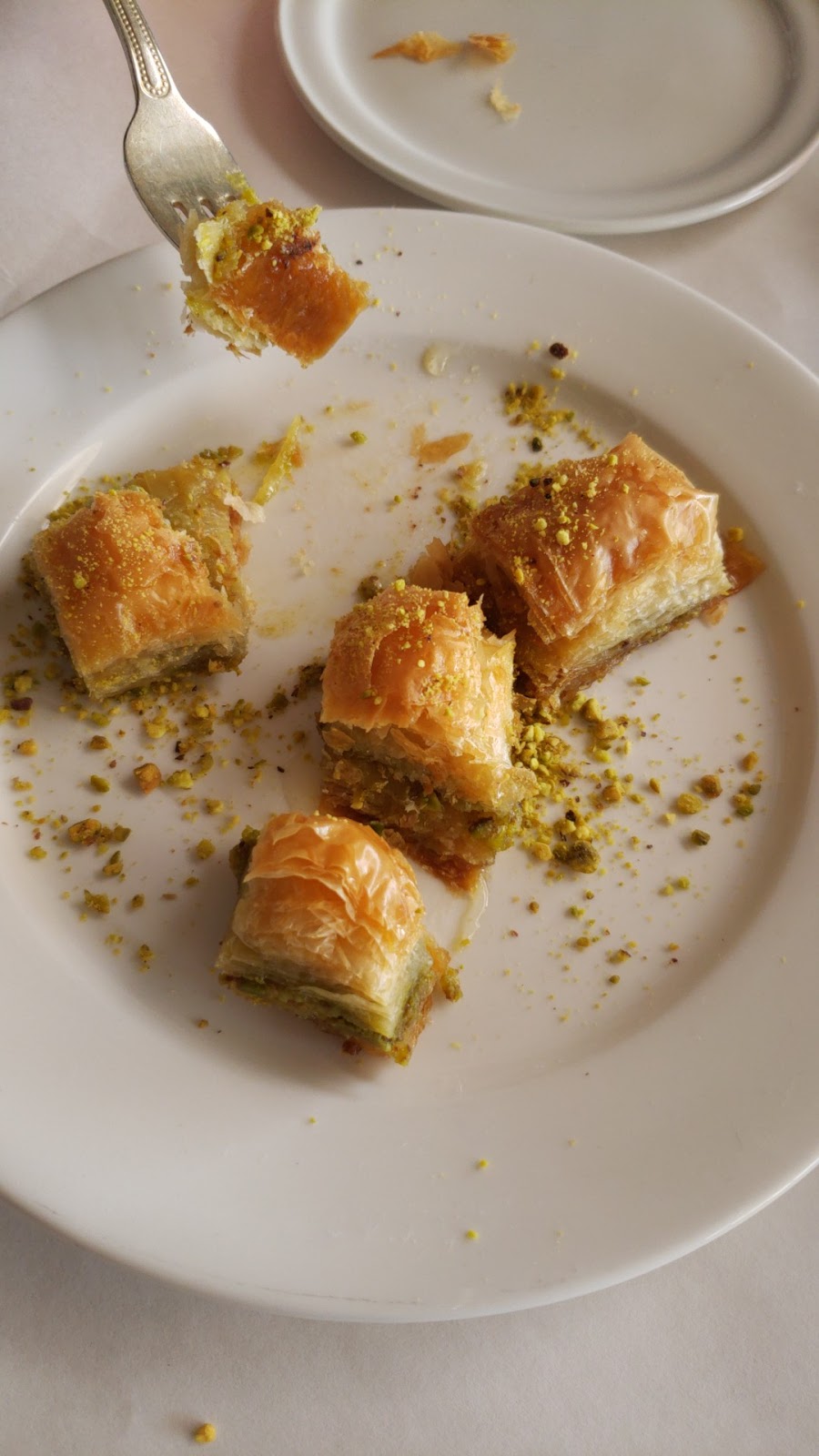 Turquaz Turkish Cuisine & Hookah Bar | restaurant | 5648 International Dr, Orlando, FL 32819, USA | 4073095942 OR +1 407-309-5942