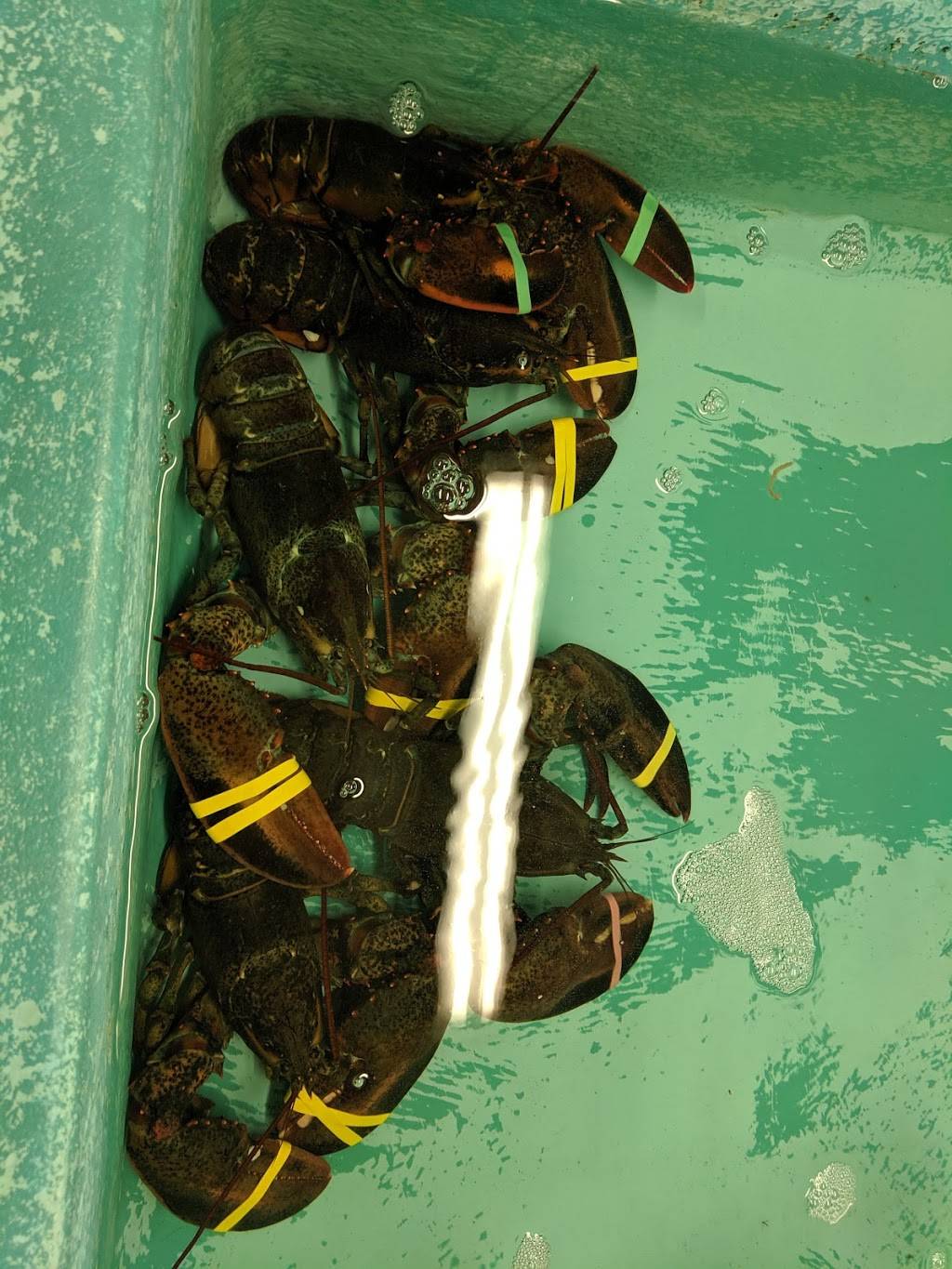 Wells Beach Lobster Pound | restaurant | 321 Webhannet Dr, Wells, ME 04090, USA | 2076467703 OR +1 207-646-7703