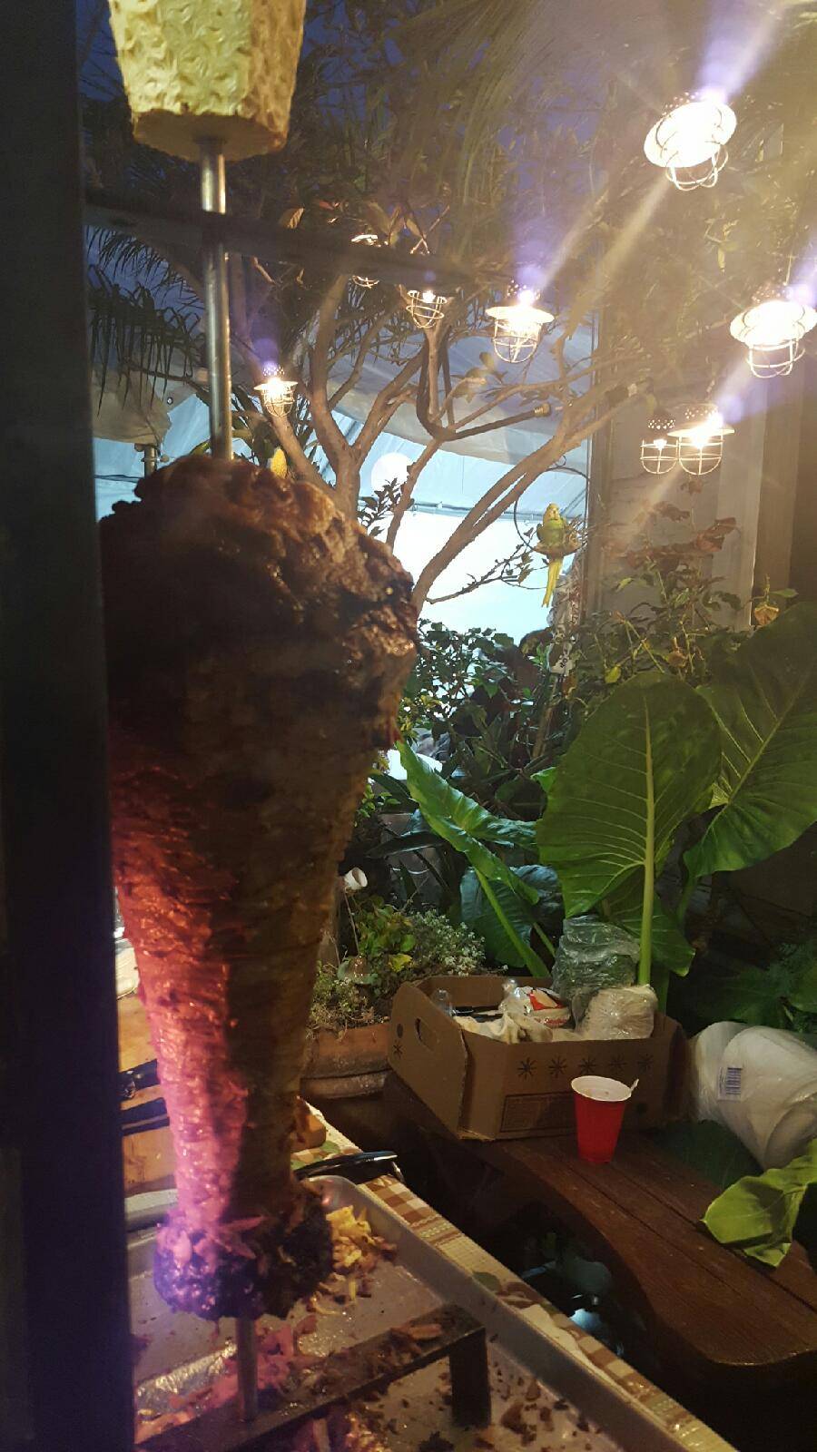 Tacos Ramon | restaurant | 4525 W 111th St, Lennox, CA 90304, USA | 3109043955 OR +1 310-904-3955