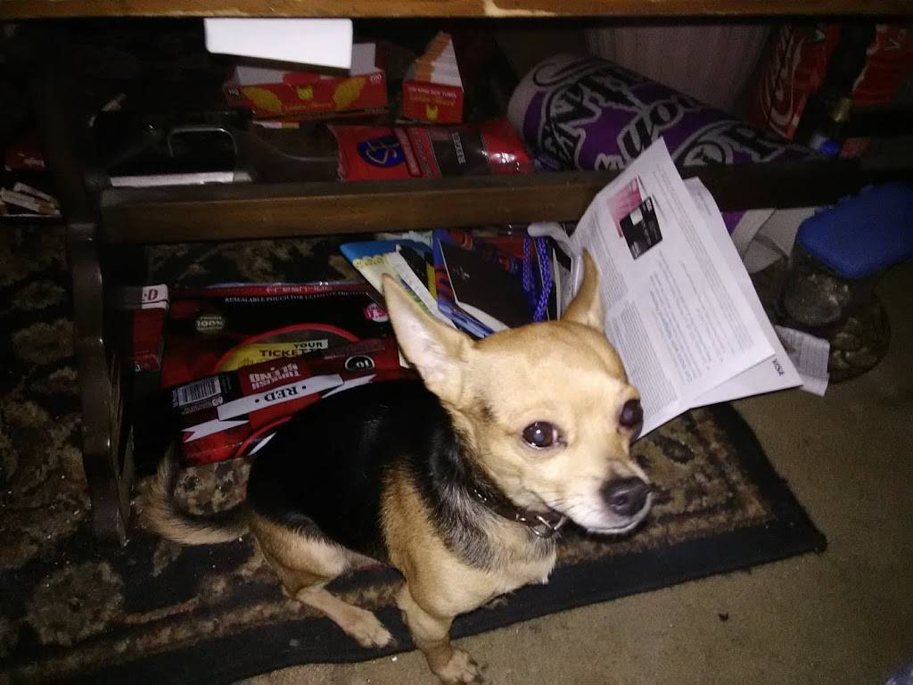 Ems Place | restaurant | 6177 US-19E, Hampton, TN 37658, USA | 4237253346 OR +1 423-725-3346