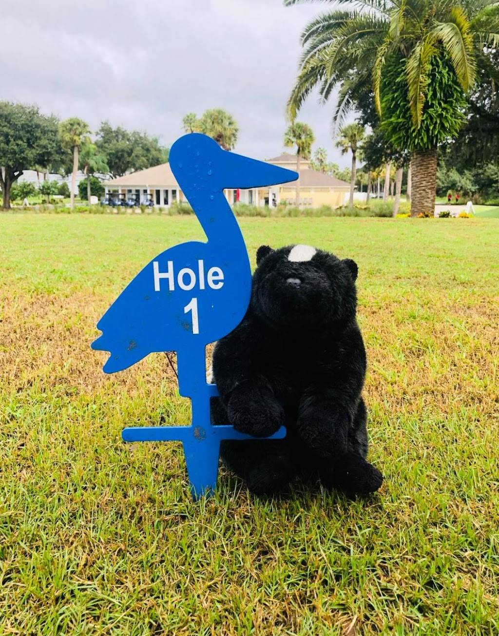 White Heron Golf Club | restaurant | 200 Eagle Ridge Dr, Davenport, FL 33837, USA | 8635478800 OR +1 863-547-8800