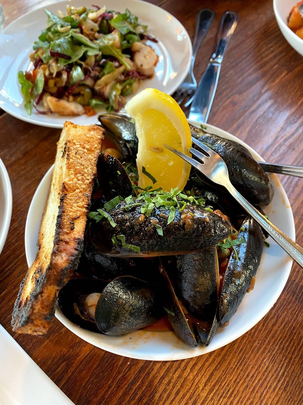 Modo Mio Taverna | restaurant | 705 S 5th St, Philadelphia, PA 19147, USA | 2672392712 OR +1 267-239-2712