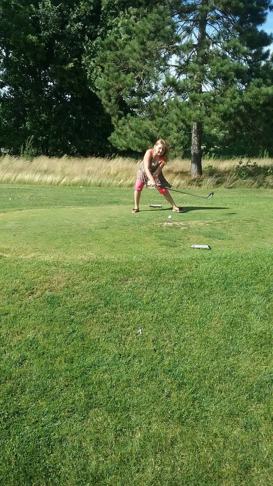 Brookside Golf & Grill | restaurant | 1518 Johnson Rd, Gowen, MI 49326, USA | 6169842381 OR +1 616-984-2381