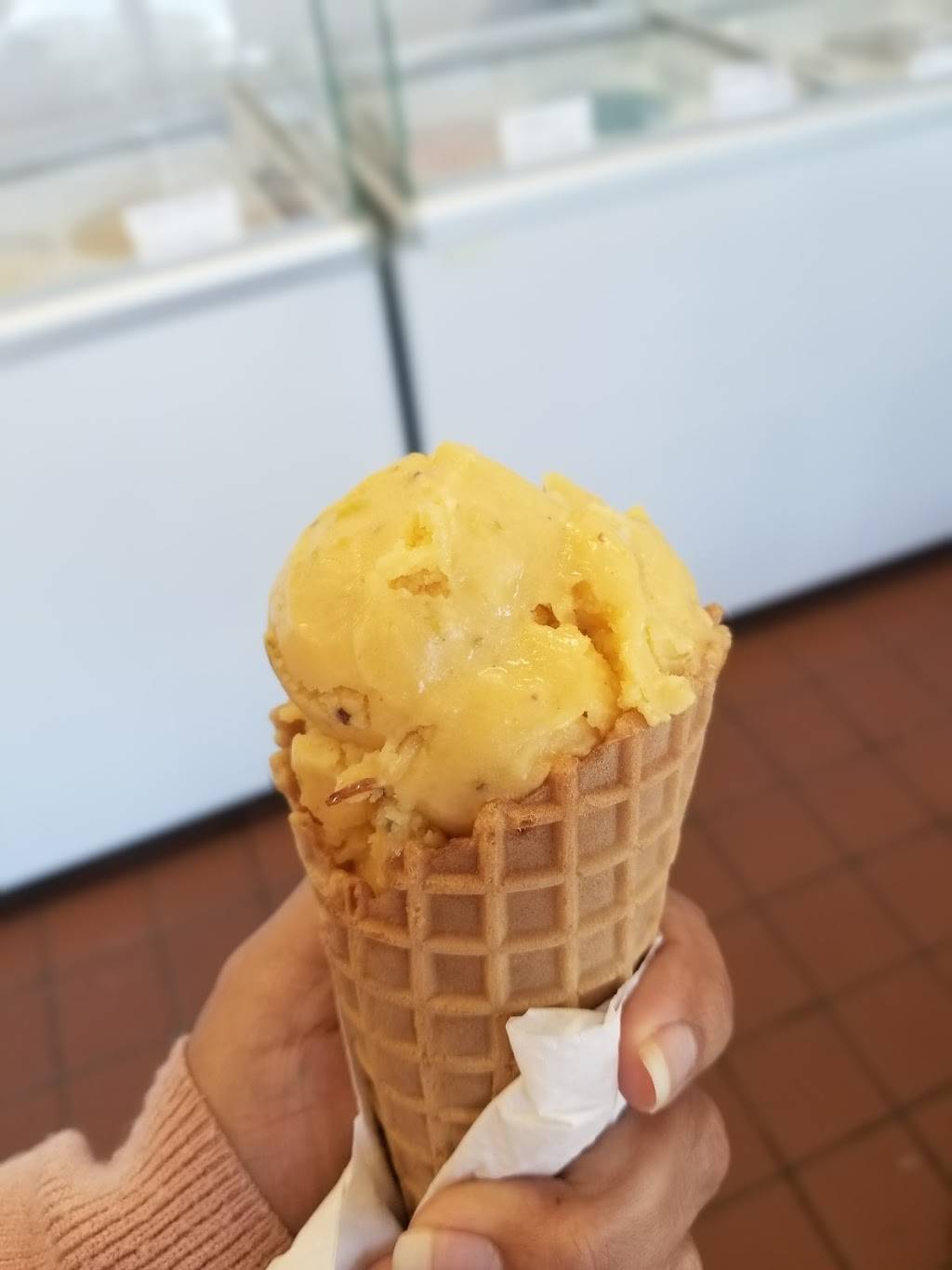 ScoopsnBites ice creams, vegetarian and vegan food take out | restaurant | 57 E Main St Unit 129, Westborough, MA 01581, USA | 5087401908 OR +1 508-740-1908