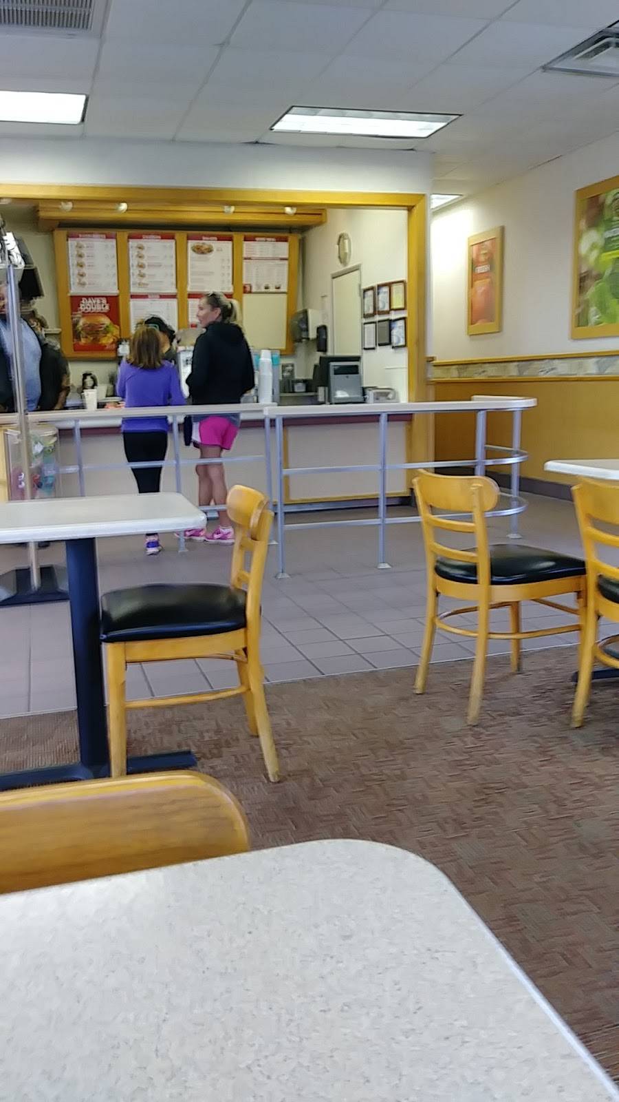 Wendys | restaurant | 1411 S 11th St, Niles, MI 49120, USA | 2696832749 OR +1 269-683-2749