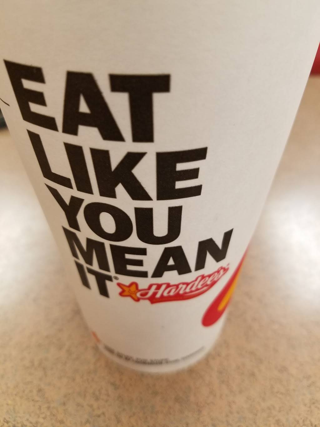 Hardees | restaurant | 491 Blanding Blvd, Orange Park, FL 32073, USA | 9042720754 OR +1 904-272-0754