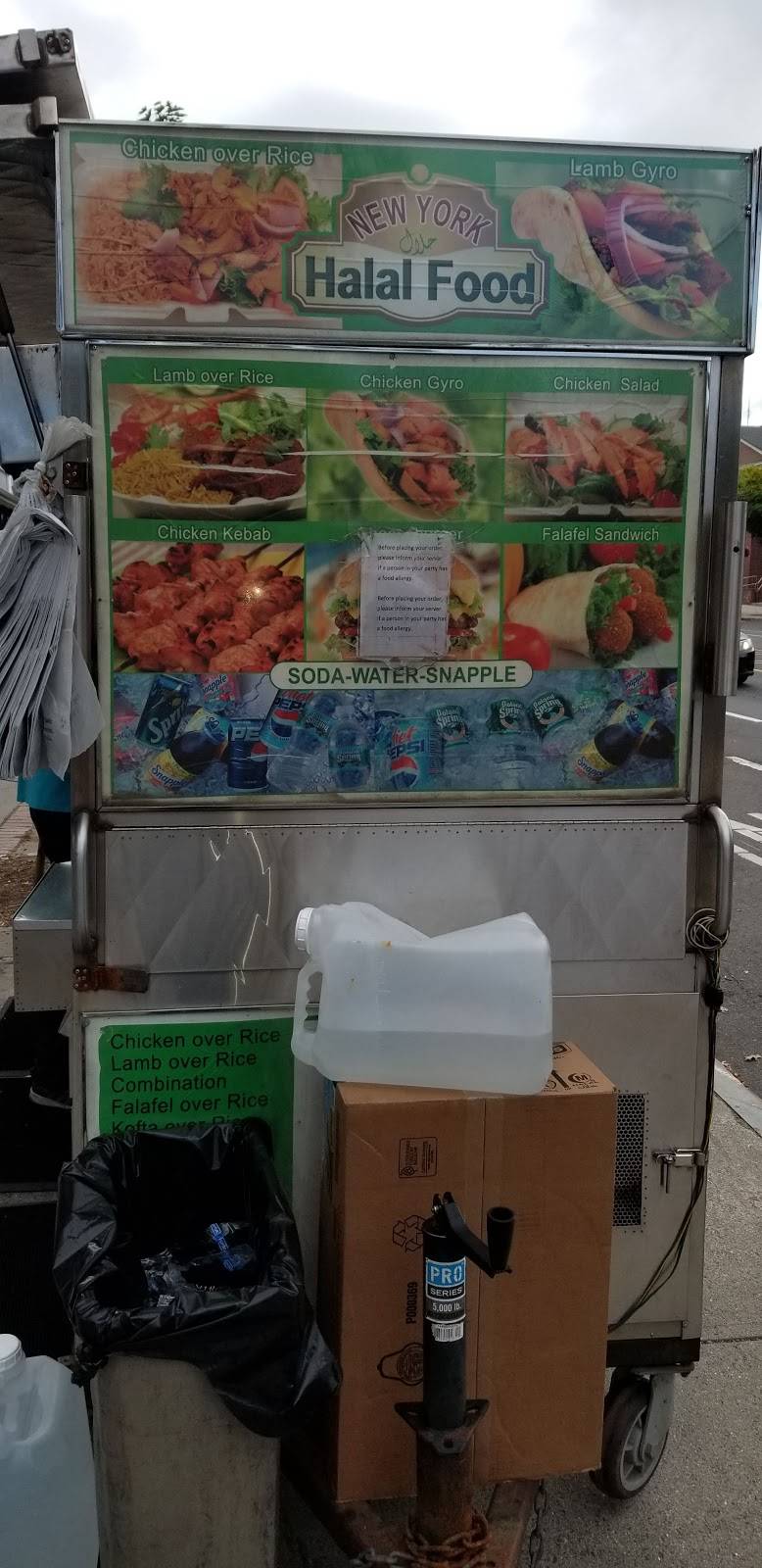 The Halal Cart | restaurant | 115 N Pleasant St, Amherst, MA 01002, USA | 6463315115 OR +1 646-331-5115