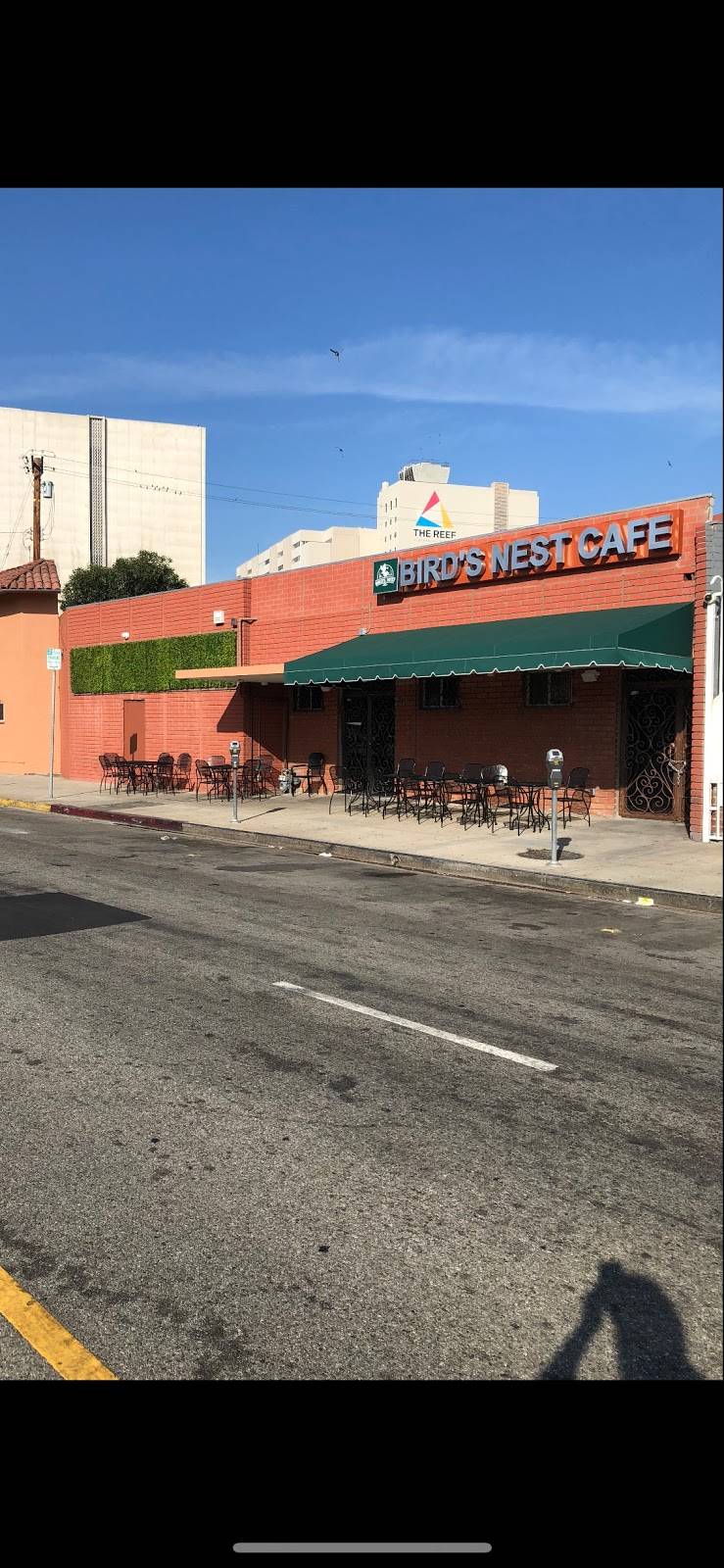 Birds Nest Cafe | restaurant | 2106 S Olive St, Los Angeles, CA 90007, USA | 2135365676 OR +1 213-536-5676