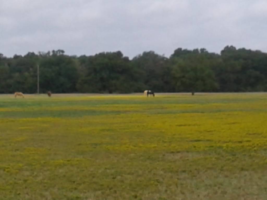 Los Potrillos Taqueria | restaurant | 2348 S Beltline Rd, Dallas, TX 75253, USA | 9722861600 OR +1 972-286-1600