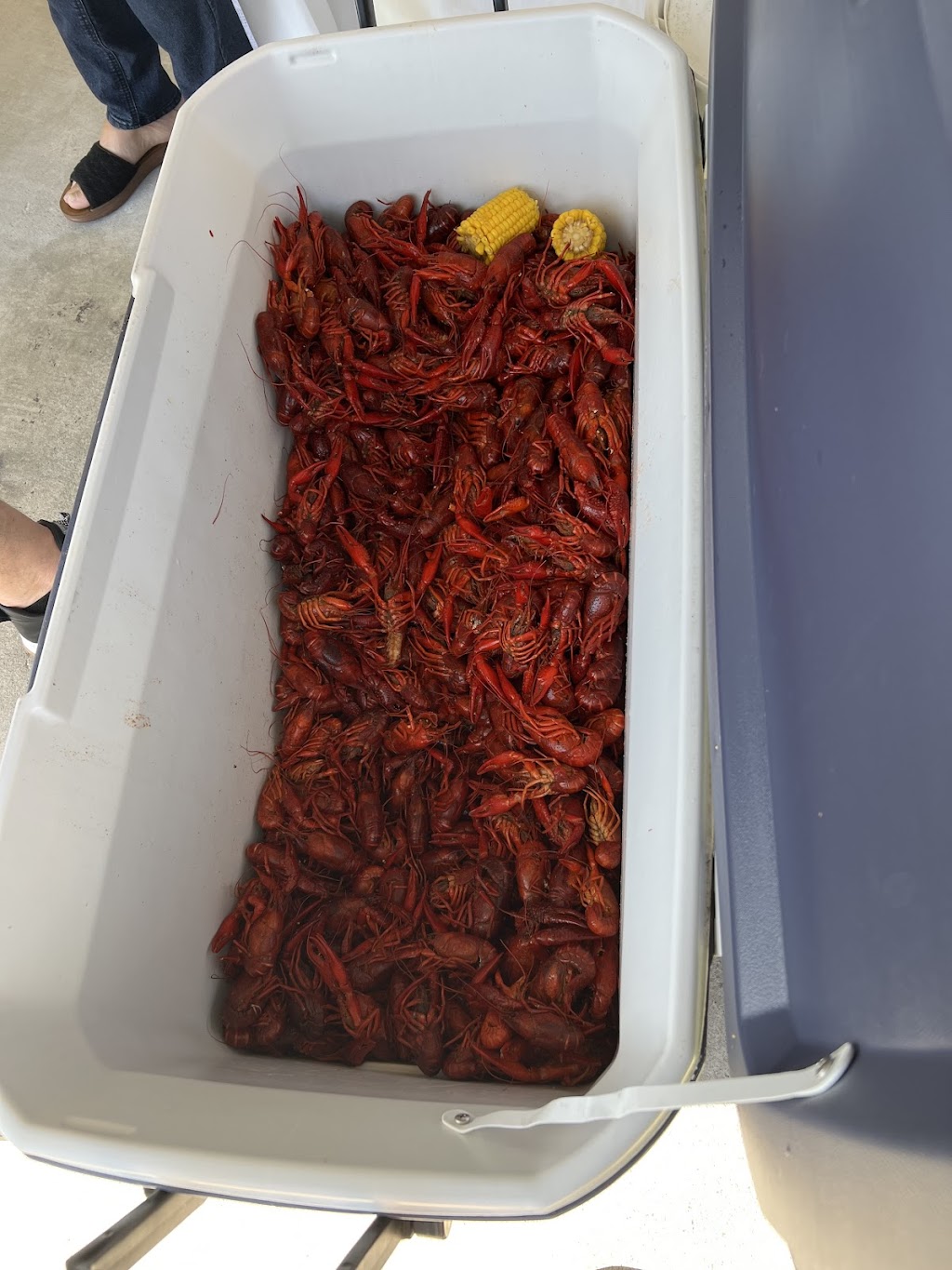 Koonce’s Krawfish, Inc | restaurant | 2948 N Beglis Pkwy, Sulphur, LA 70663, USA | 3376073407 OR +1 337-607-3407