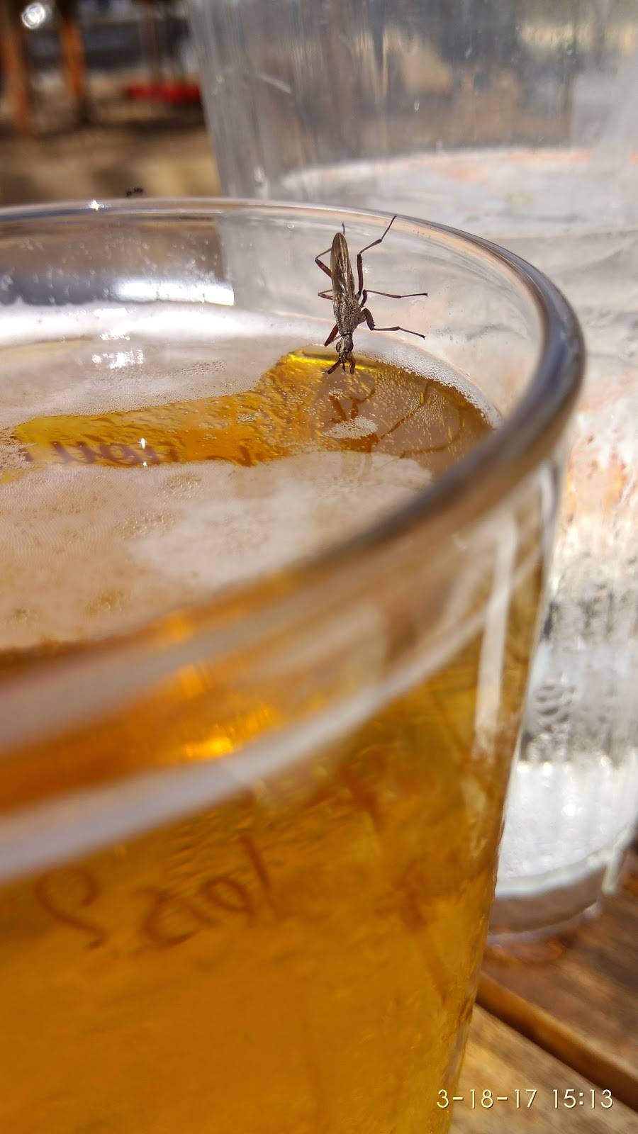 Austin Pizza Garden | restaurant | 6266 US-290, Austin, TX 78735, USA | 5128919980 OR +1 512-891-9980