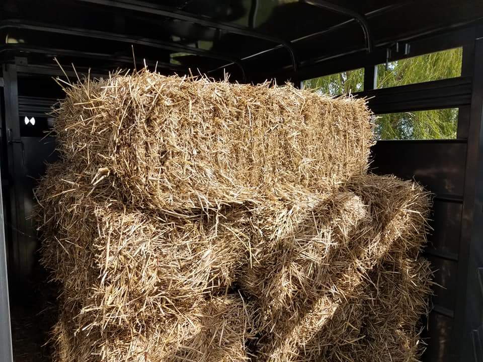 S S Bait and Tackle | restaurant | 8975 W 600 S, Andrews, IN 46702, USA | 2604682551 OR +1 260-468-2551