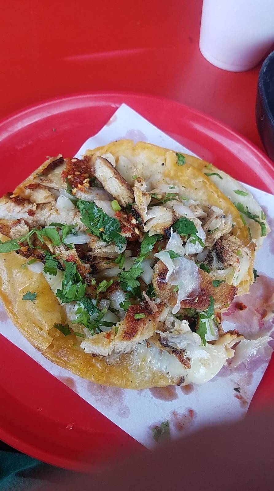 BIRRIERIA Los angelitos | restaurant | Panamericana 7, Panamericano, 22647 Tijuana, B.C., Mexico | 016642010208 OR +52 664 201 0208