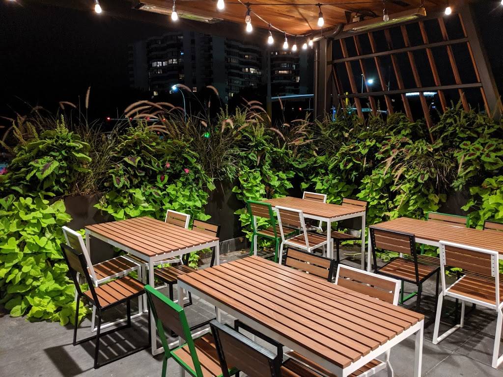 Shake Shack | restaurant | 6603 France Ave S, Edina, MN 55435, USA | 6123891151 OR +1 612-389-1151