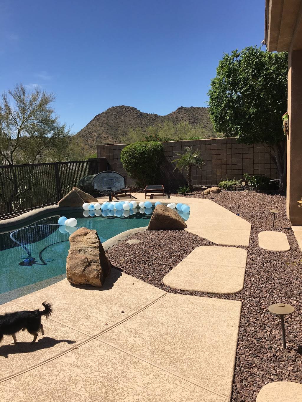 Casa Mia | restaurant | 11485 N 136th St #107, Scottsdale, AZ 85259, USA | 4803140365 OR +1 480-314-0365