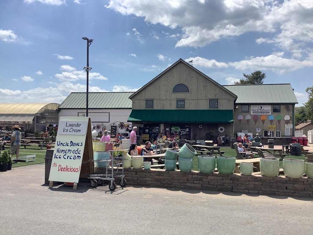 Shady Brook Farm | restaurant | 931 Stony Hill Rd, Yardley, PA 19067, USA | 2159681670 OR +1 215-968-1670