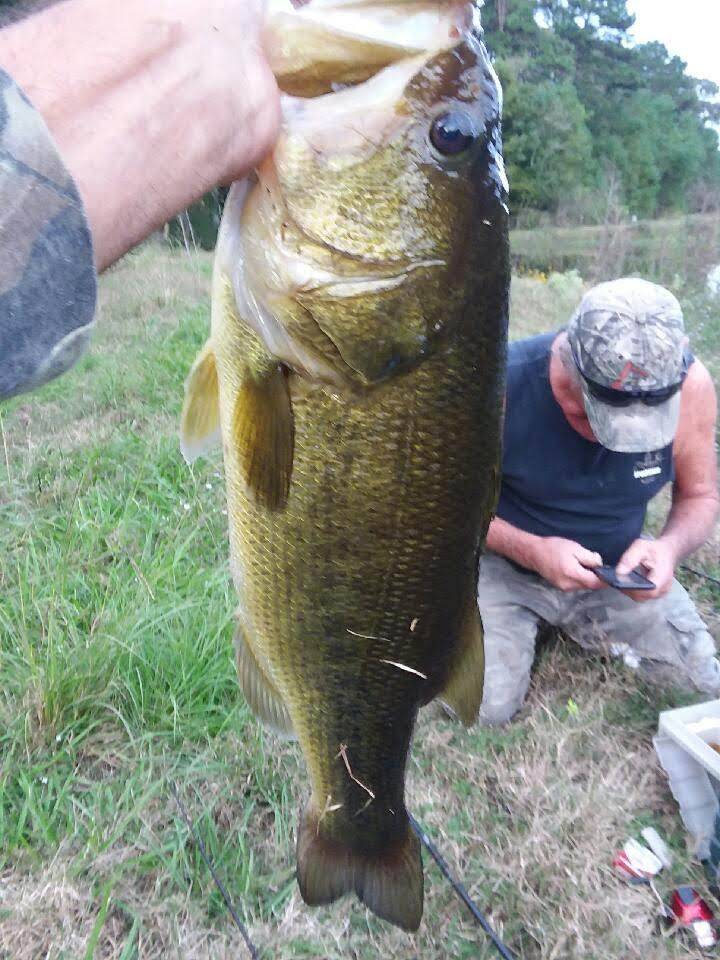 LA FRONTERA | restaurant | 2152 Florida Ave SW, Denham Springs, LA 70726, USA | 2256659333 OR +1 225-665-9333