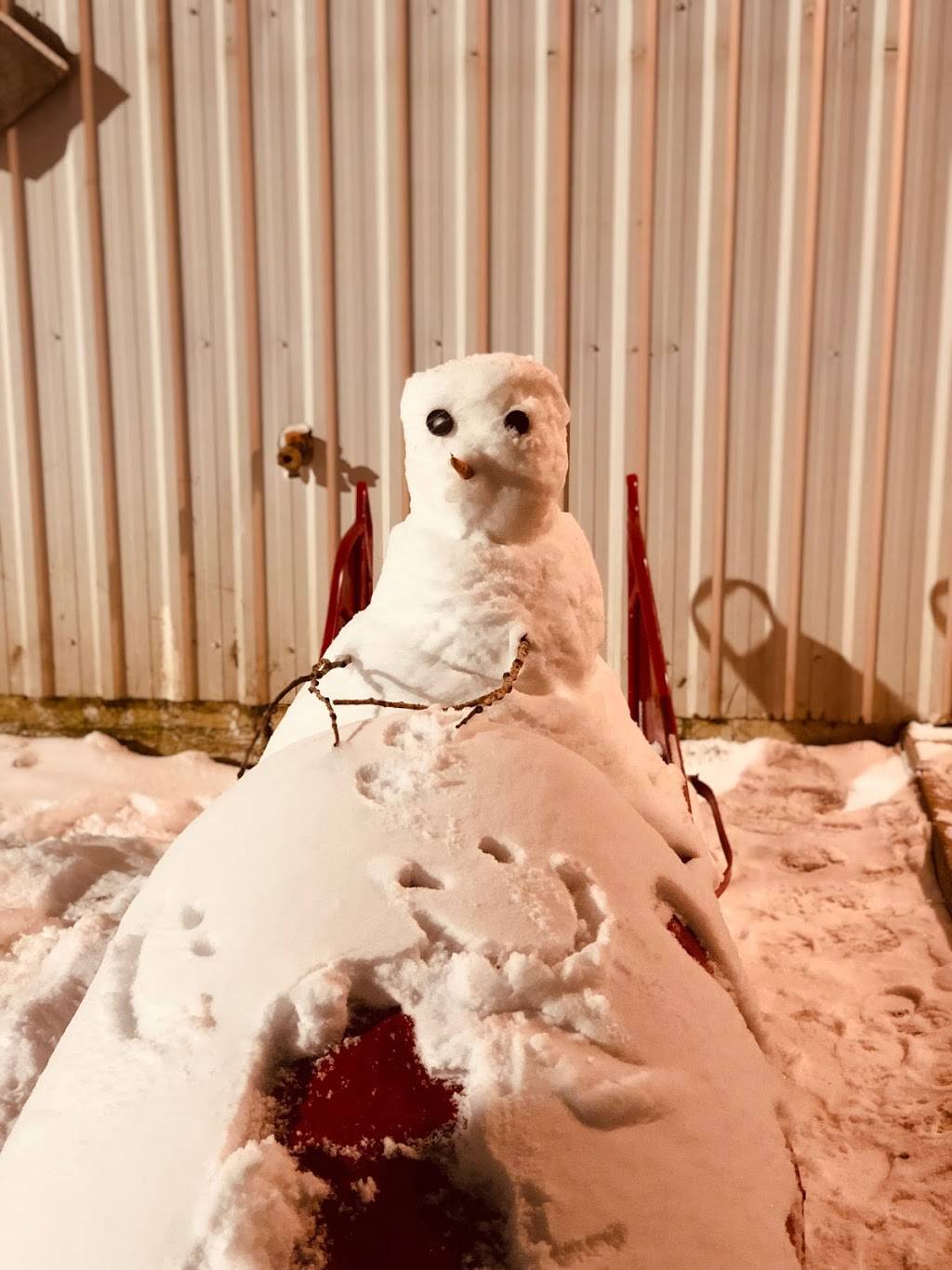 Big Slide Brewery & Public House | restaurant | 5686 Cascade Rd, Lake Placid, NY 12946, USA | 5185237844 OR +1 518-523-7844