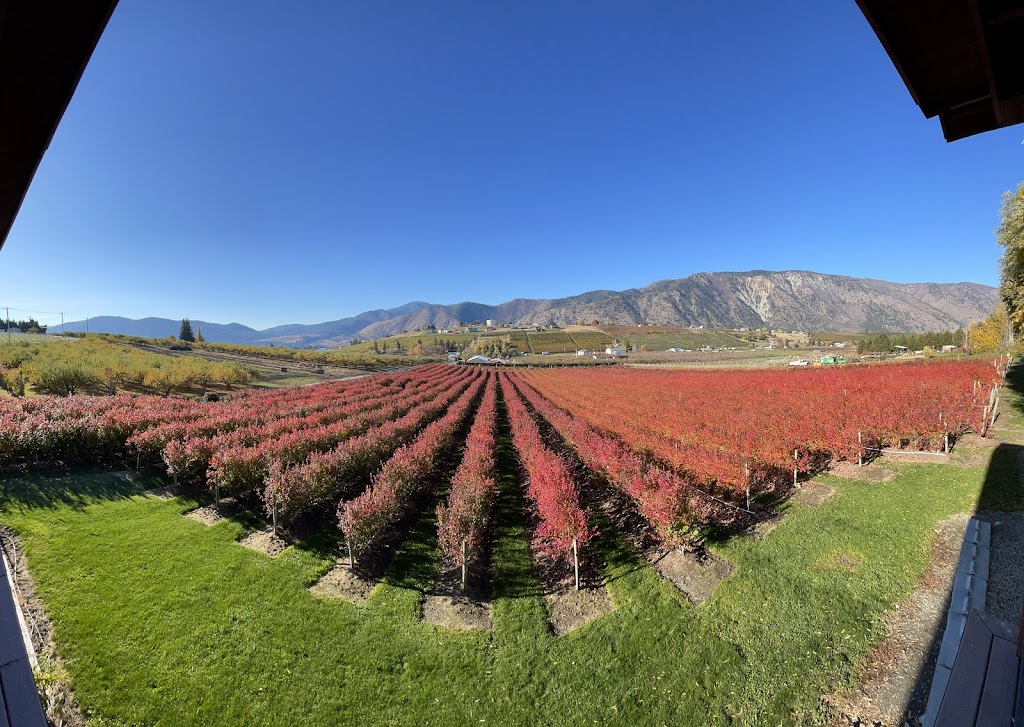Blueberry Hills Farm | restaurant | 1315 Washington St, Manson, WA 98831, USA | 5096872379 OR +1 509-687-2379