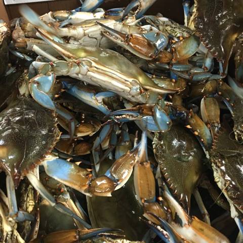 The Crab Stop | restaurant | 1405 Sulphur Spring Rd, Arbutus, MD 21227, USA | 4102421394 OR +1 410-242-1394