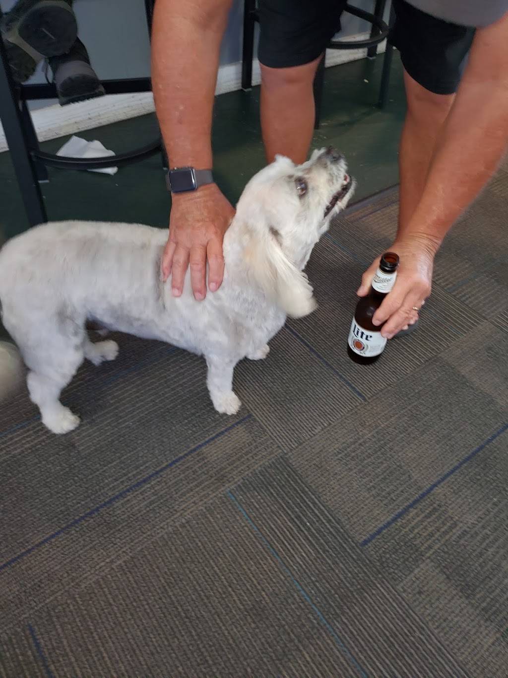 Flagsticks Bar and Grill | restaurant | 6231 Palm Vista St, Port Orange, FL 32128, USA | 3867565450 OR +1 386-756-5450