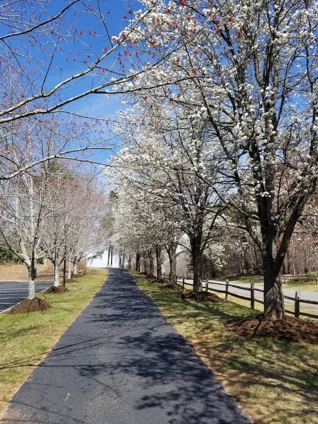 The Waterfront Country Club | restaurant | 275 Anchor Dr, Moneta, VA 24121, USA | 5407212397 OR +1 540-721-2397