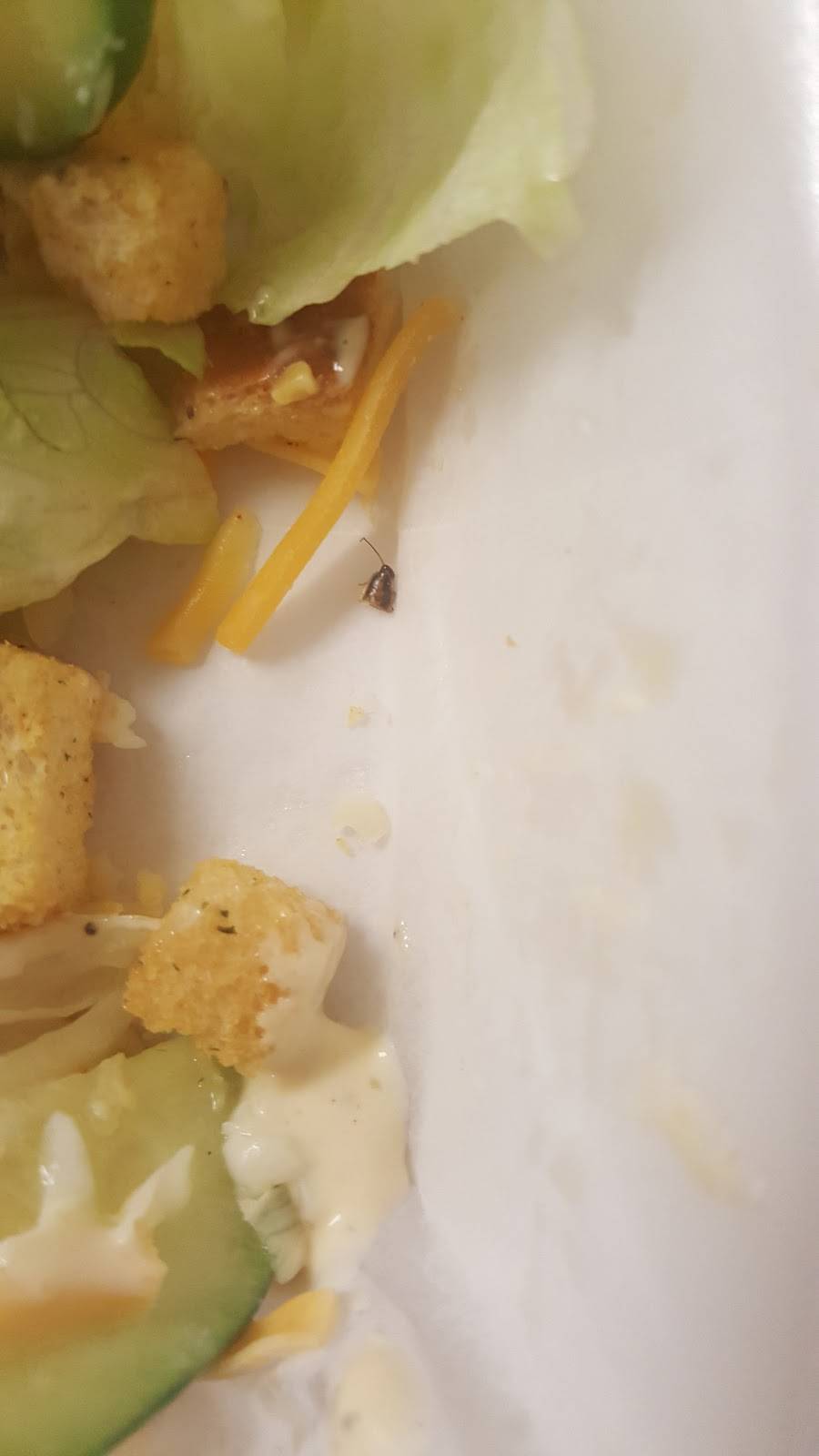 Wing Factory | restaurant | 1475 Terrell Mill Road SE # 106, Marietta, GA 30067, USA | 7709559800 OR +1 770-955-9800