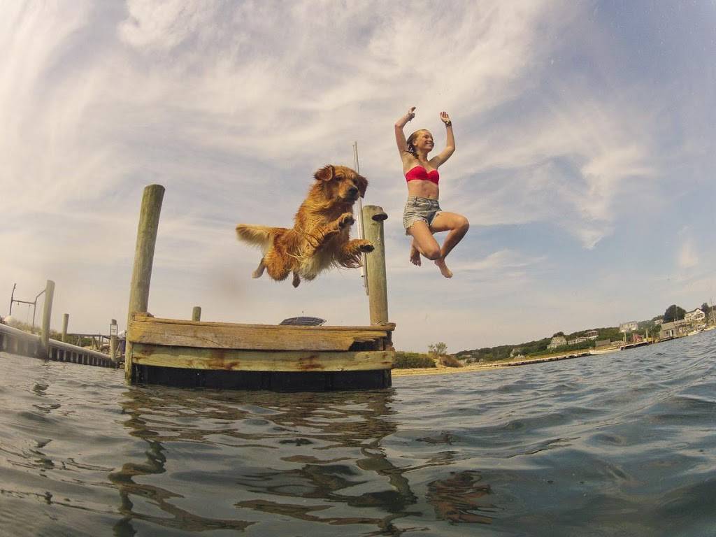 Menemsha Inn & Cottages | restaurant | 12 Menemsha Inn Rd, Chilmark, MA 02535, USA | 5086452521 OR +1 508-645-2521