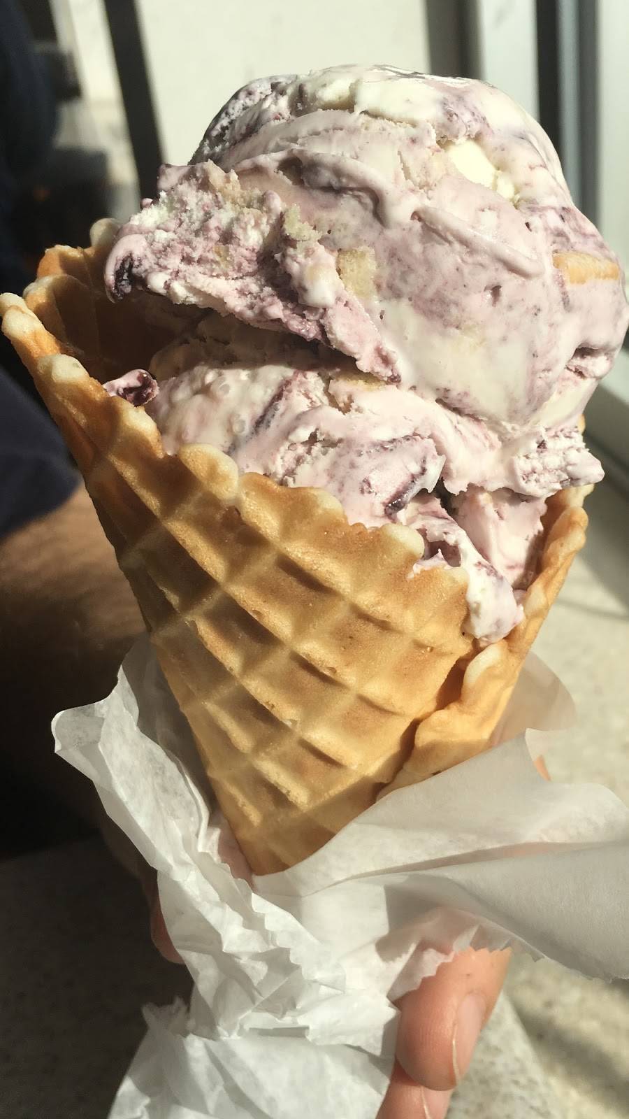 Oberweis Ice Cream and Dairy Store | restaurant | 9 E Dundee Rd, Arlington Heights, IL 60004, USA | 8473689060 OR +1 847-368-9060