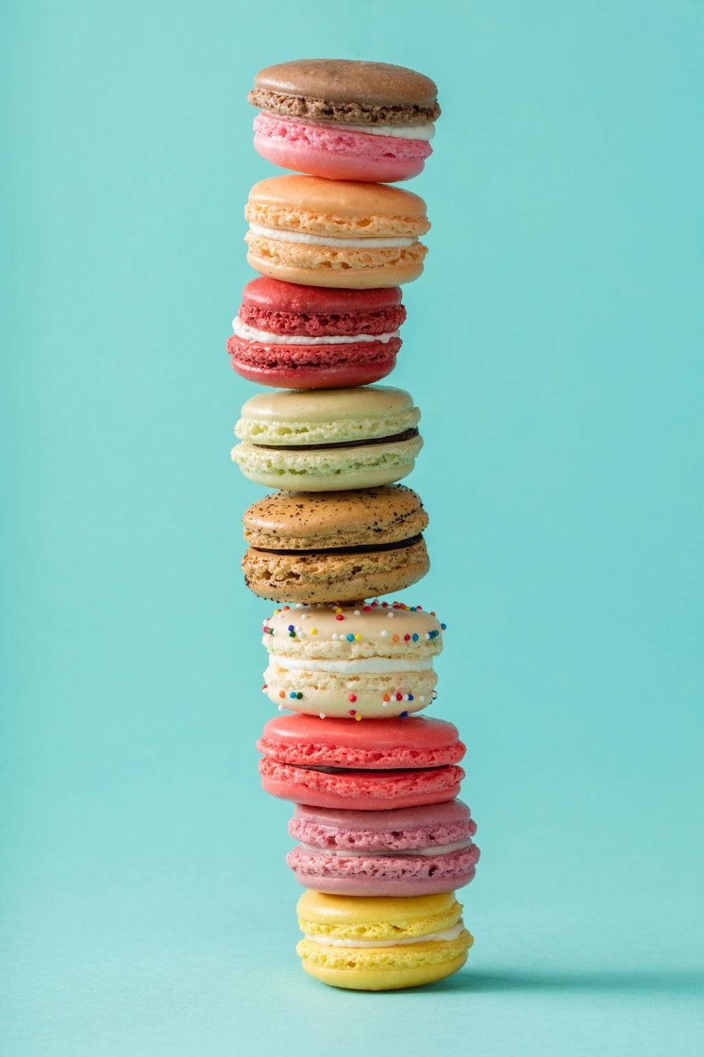 Paris Bánh Mì Cafe Bakery Jacksonville | cafe | 3515 St Johns Bluff Rd S, Jacksonville, FL 32224, USA | 9044140395 OR +1 904-414-0395