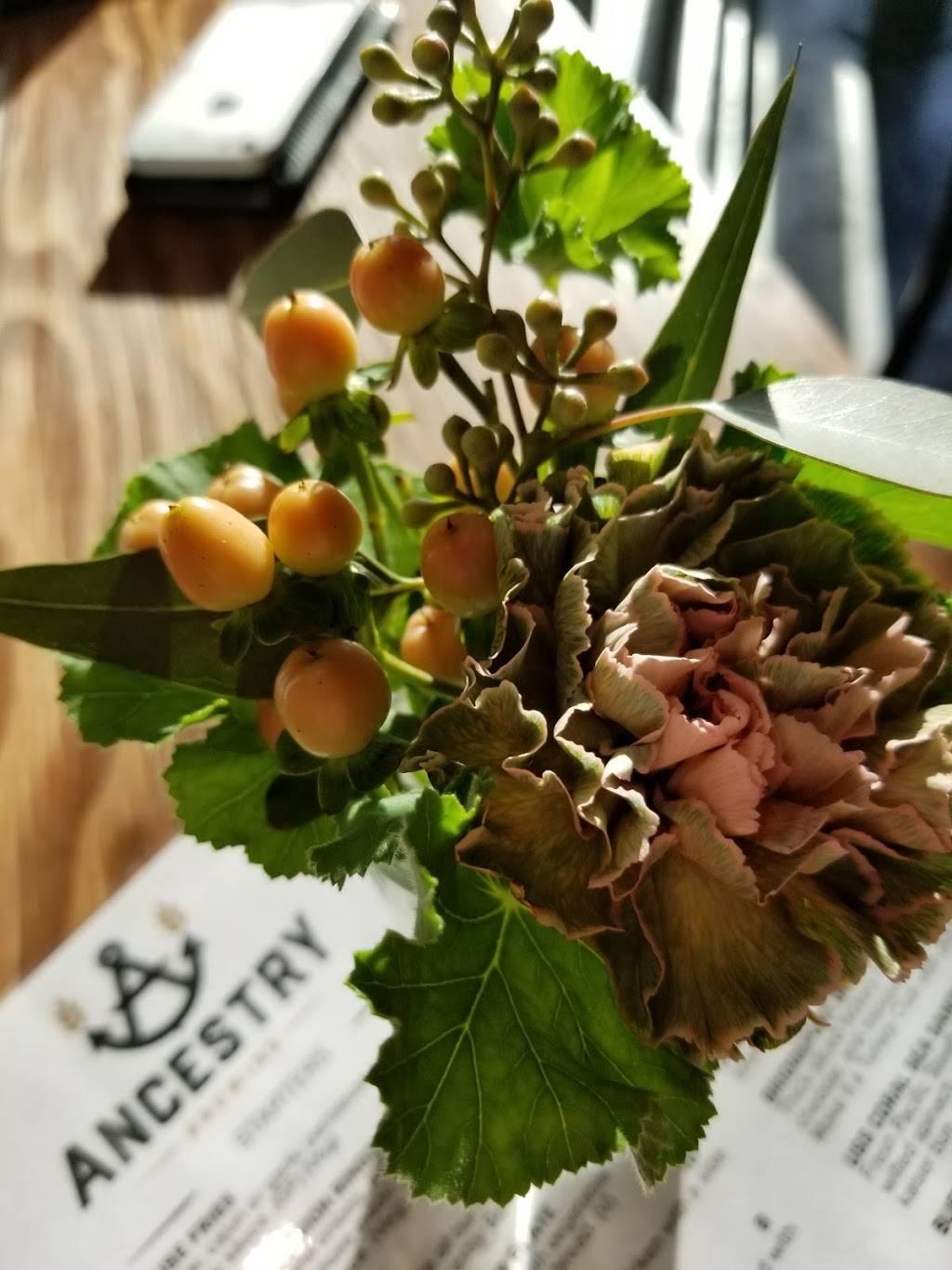 Ancestry Brewing | restaurant | 8268 SE 13th Ave, Portland, OR 97202, USA | 5039468424 OR +1 503-946-8424