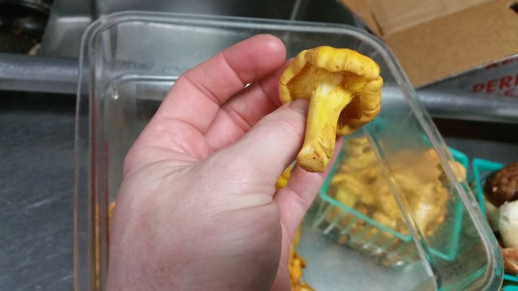 The Firehouse Bistro | restaurant | 2991 Woodside Rd, Woodside, CA 94062, USA | 6508514988 OR +1 650-851-4988