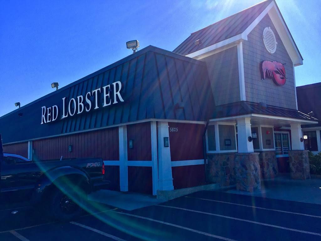 Red Lobster | restaurant | 5825 S Padre Island Dr, Corpus Christi, TX 78412, USA | 3619912160 OR +1 361-991-2160
