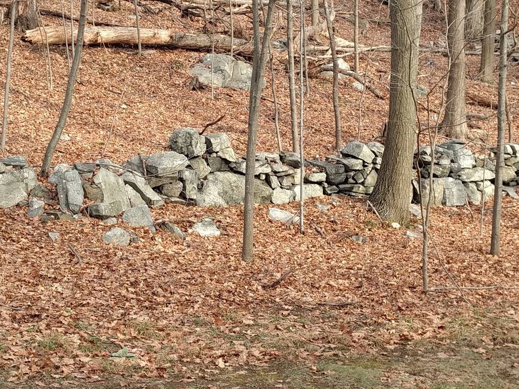 Somers National Golf Club | restaurant | 1000 West Hill Dr N, Somers, NY 10589, USA | 9142761000 OR +1 914-276-1000