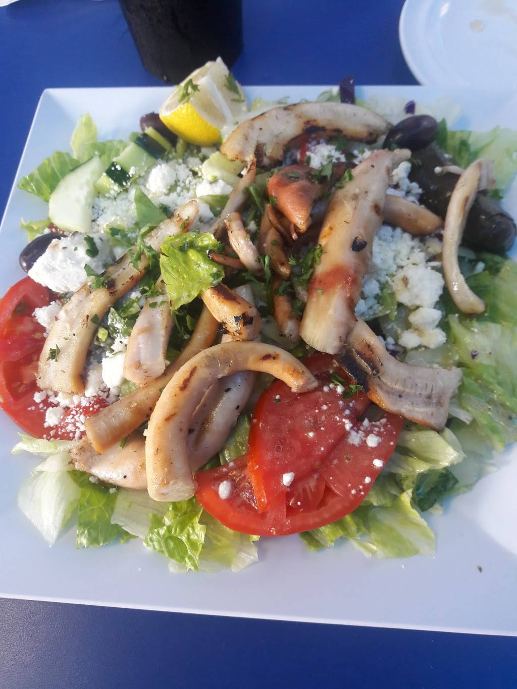 Skorpios II | restaurant | 6685 Lake Worth Rd b, Wellington, FL 33467, USA | 5614329910 OR +1 561-432-9910